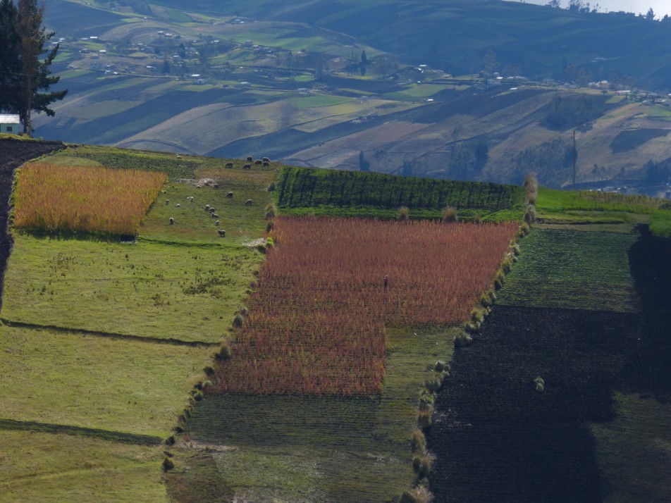 la Naturaleza